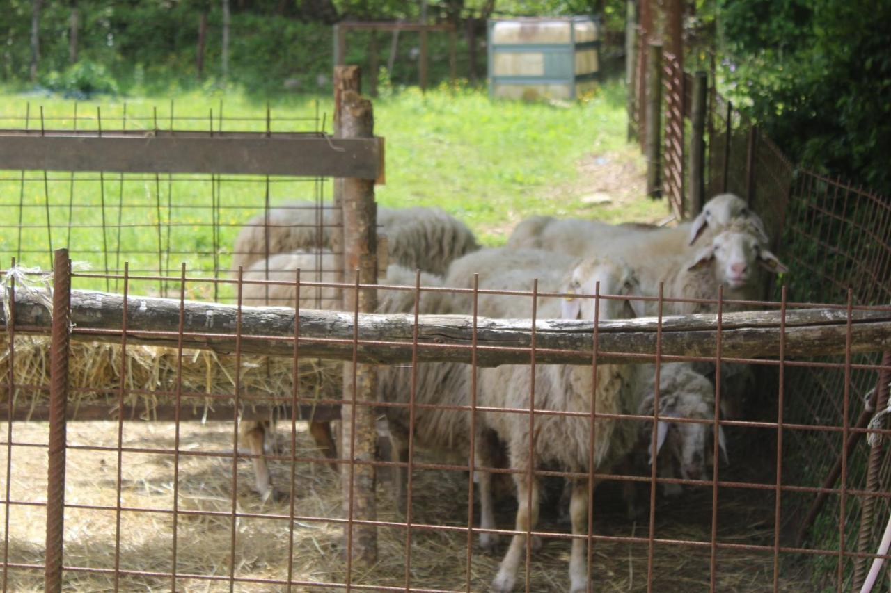 Podere Lambure- Societa Agricola Bauernhof *